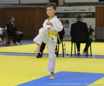 Spravodajstvo z podujatí / Záverečná správa o činnosti klubu KORYO Panthers Taekwondo Rožňava za rok 2023 - foto