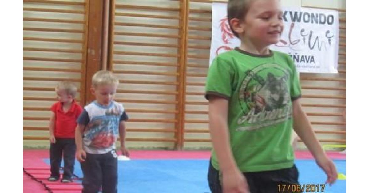 Taekwondo pre zdravie detí a mládeže 2017
