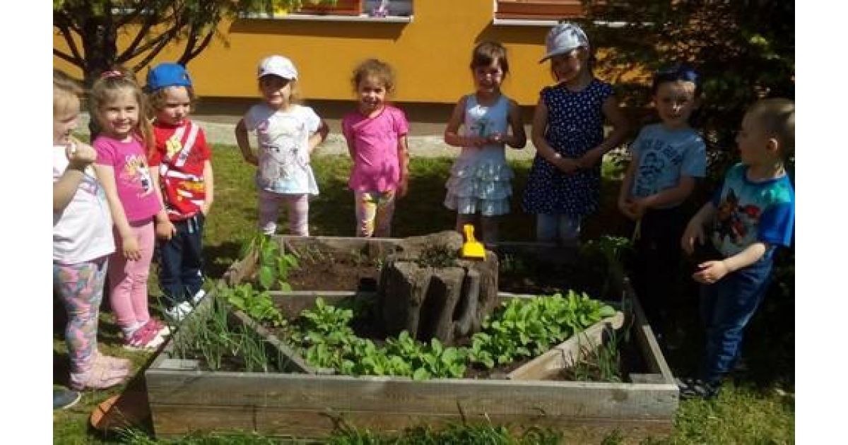 Materská škola Štítnická má už šesť certifikátov Zelenej školy