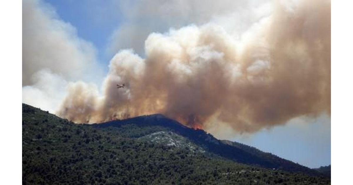 Opatrenia na zabezpečenie ochrany lesov pred požiarmi