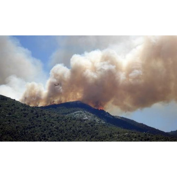 Opatrenia na zabezpečenie ochrany lesov pred požiarmi