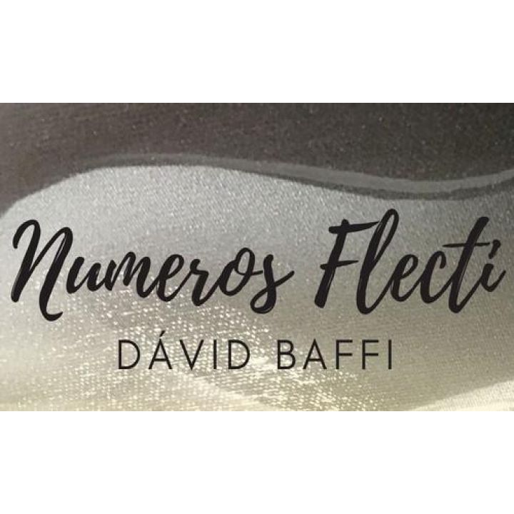 Výstava Dávida Baffiho – Numeros Flecti